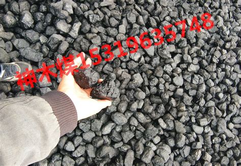 神木煤炭厂家煤炭销精煤取暖煤烤烟煤工厂用煤神木气化煤-找商网