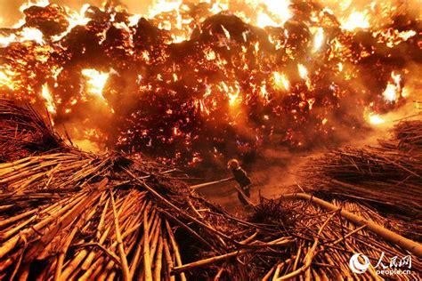 湖南常德一造纸厂着火 疑是芦苇堆长期堆放自燃【8】--图片频道--人民网