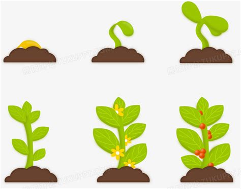 影响植物生长的基本因素-百度经验
