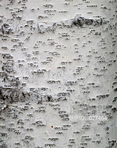 黑色和白色树皮纹理抽象自然背景和高清图片下载-正版图片502561621-摄图网