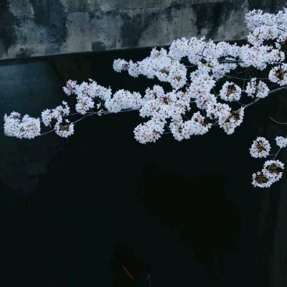 非主流黑白风景头像