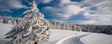 怎么形容冬天的雪景,描写雪景寒冷的句子,形容冬天的词语_大山谷图库