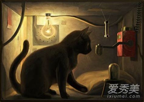 薛定谔的猫比喻什么 薛定谔的猫是什么意思通俗解释_见多识广_海峡网