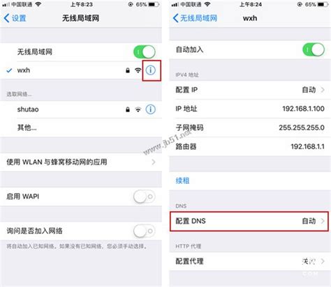 苹果手机怎么设置DNS iPhone8更改DNS详细图文教程 - 茶源网