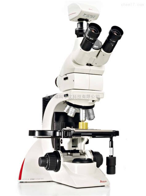 电子显微镜的放大倍数一般是多少？