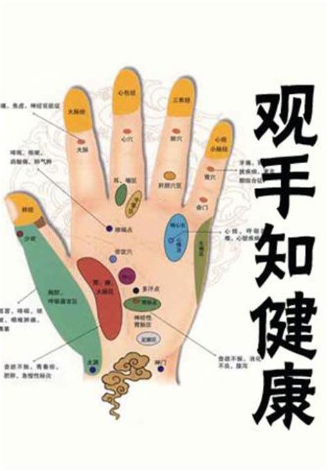十个手指对应的脏器,手指对应的五六腑图,五个手指对应的络图_大山谷图库