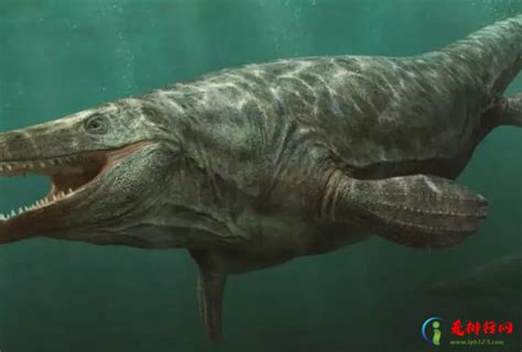 远古十大霸主，史前四大最大型鳄鱼排名，帝鳄生吞霸王龙（水中霸主） - 科猫网