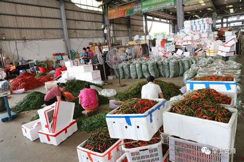 蔬菜批发市场图片,蔬菜店门头图片大全,蔬菜批发市场效果图_大山谷图库