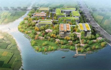 提升软实力 打造和美乡村——崇明区竖新镇推进“15分钟社区生活圈”建设_上海市规划和自然资源局