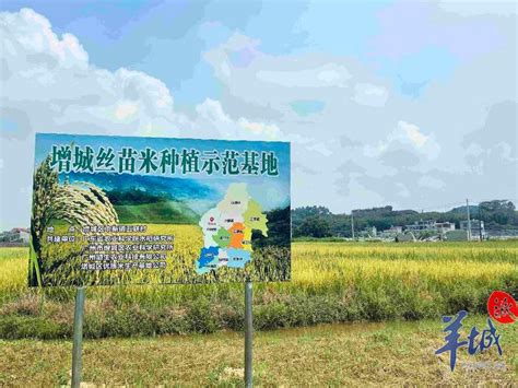 “互联网+大农业” ！广州增城这家家庭农场竟然成了科普基地|广州市_新浪新闻