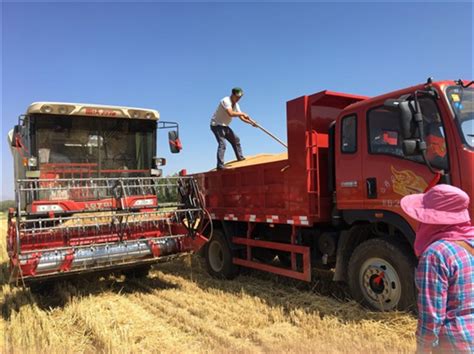 山丹“三夏”小麦机收工作全面展开-中国农业机械化信息网