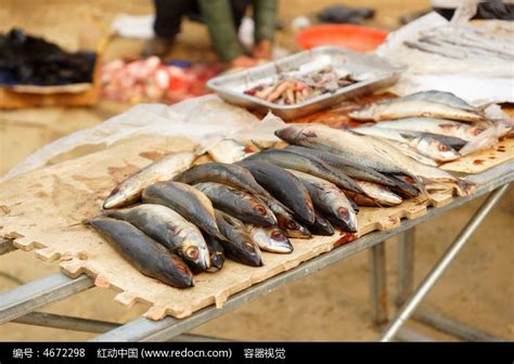 街边商贩售卖的鱼高清图片下载_红动中国