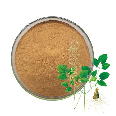 Epimedium Extract Powder 的图像结果