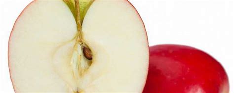 苹果和什么不能一起吃 苹果不能和什么一起吃_知秀网