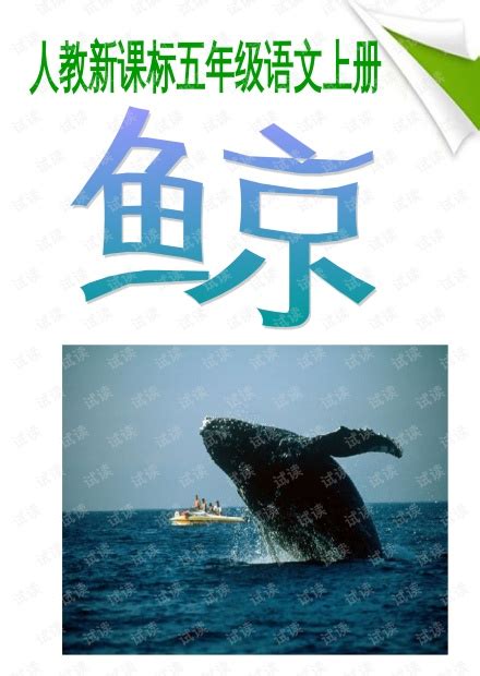 英语保护鲸鱼的手抄报(英语保护鲸鱼的手抄报内容) - 抖兔教育