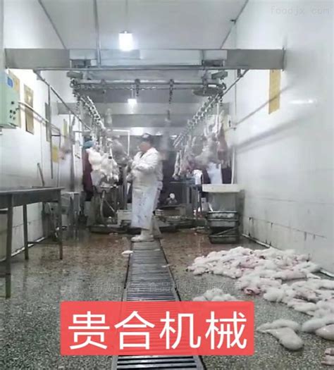 肉兔自动屠宰流水线 兔子屠宰加工流程 獭兔宰杀机械设备定制_—中国食品机械设备供应网