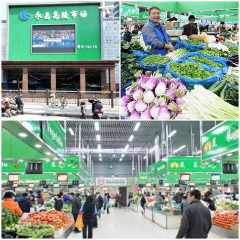 高级管理行动“永昌标准化菜市场业态分析”项目正式开启！