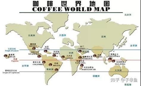世界12大咖啡出口国排名榜单揭晓！老挝赫然在列