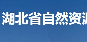 湖北省自然资源厅(网上办事大厅)