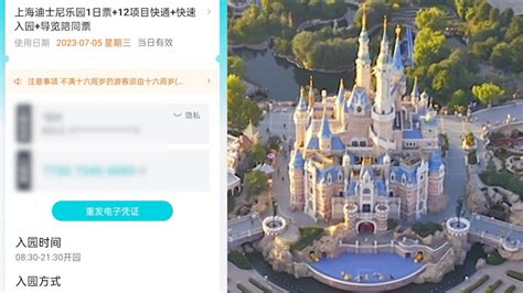 上海迪士尼两个人预算_2018最新上海迪士尼一日游多少钱 - 随意云