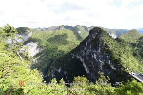 大石围天坑群-百色市乐业县大石围天坑群旅游指南[组图]