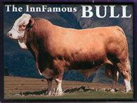 bull markets 的图像结果