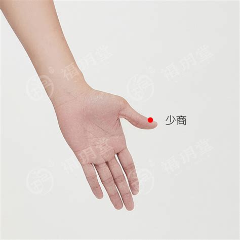 少商穴位图图片
