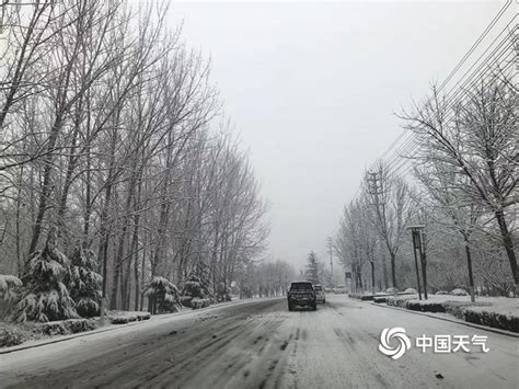雪花纷飞迷人眼 山东多地出现降雪-天气图集-中国天气网