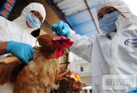 2023年2月世界禽流感报告——多处蔓延 - 羽绒金网