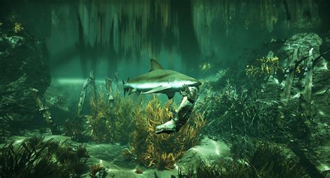 次世代大白鲨 巨型海洋生物 食人鲨_鱼类动物模型下载-摩尔网CGMOL