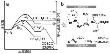 CO2甲烷化反应路径的研究进展_催化剂_中间体_甲酸