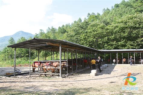 农夫市集热闹开市 自流井助力乡村振兴_四川在线