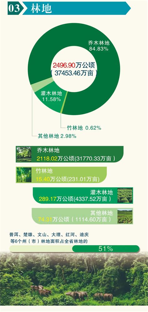 云南省第三次全国国土调查主要数据图解_云南省自然资源厅