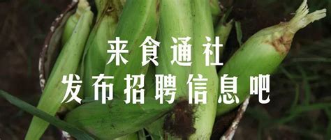 农场招人？想去食农NGO工作？食通社招聘汇总等你来！ - 知乎