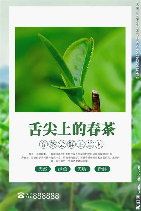 清新春茶上新茶叶促销活动海报模板素材-正版图片400995445-摄图网