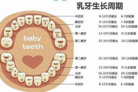 为什么有些人只有28颗牙，有些人却长了32颗？_凤凰网