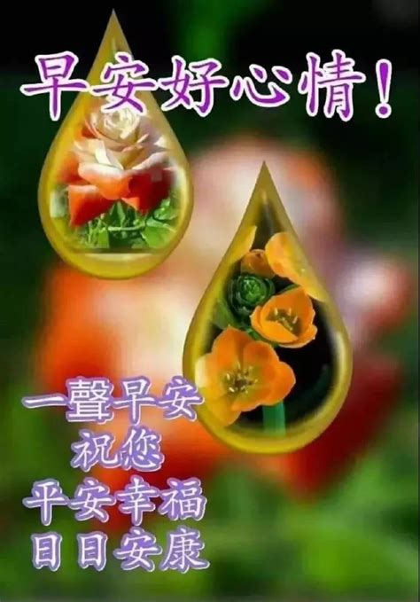 雨天早上好图片