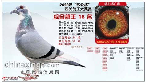 安徽鼎博俱乐部2020年获奖鸽赏析1-50-中国信鸽信息网相册