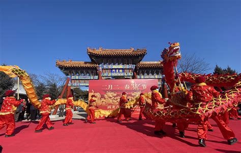 “春龙节”，哈尔滨文庙上演主题民俗文化活动
