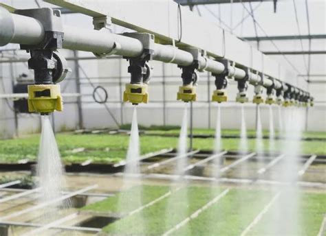 中央财政近15亿支持中型灌区节水配套改造-长江蔬菜