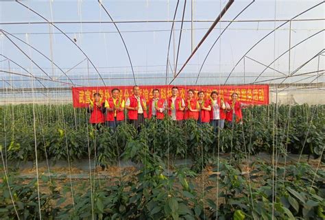 武宣县：发展设施农业助农增收_来宾_广西壮族自治区农业农村厅
