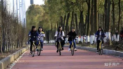 在重庆骑自行车是一种怎样的体验？ - 知乎