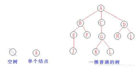 树形结构详解（未完）_牛客博客
