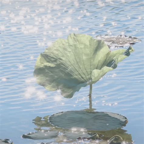 非主流5黑头像