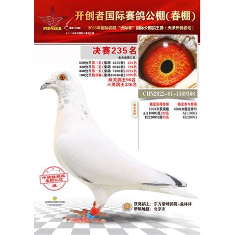 安徽鹏宇赛鸽中心200公里热身赛扫描直播点击进入-最新公告 - 中国信鸽竞翔网