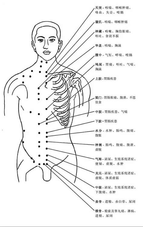 人体模型_经络穴位模型中医用针灸男女小人模特 - 阿里巴巴