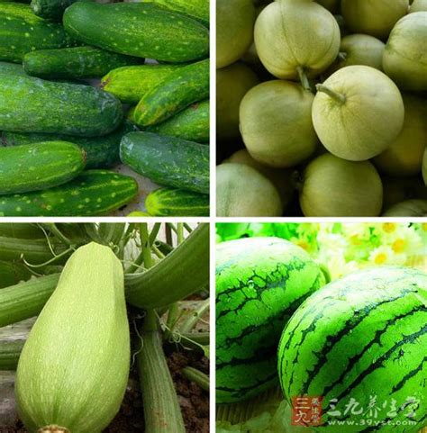 所有瓜类的名称及图片,瓜类蔬菜名字与图片,南瓜的种类名称和图片_大山谷图库