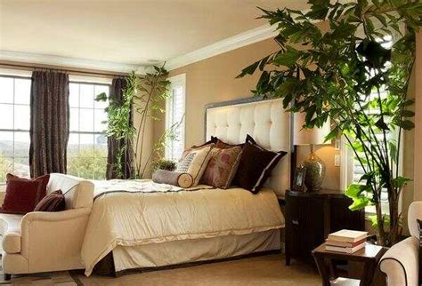 家居设计：卧室植物摆放小贴士