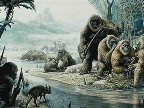 在贵州找寻人类“灭绝的近亲”——巨猿 - 神秘的地球 科学|自然|地理|探索