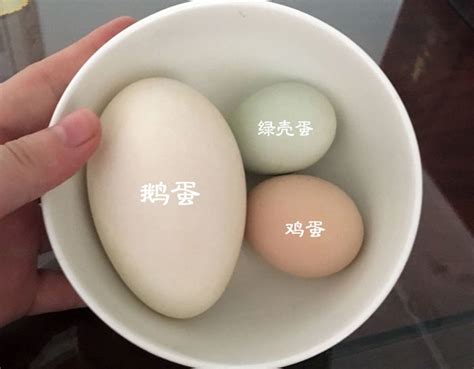鸡蛋、鹅蛋、鸭蛋，哪个更有营养_东方养生频道_东方养生